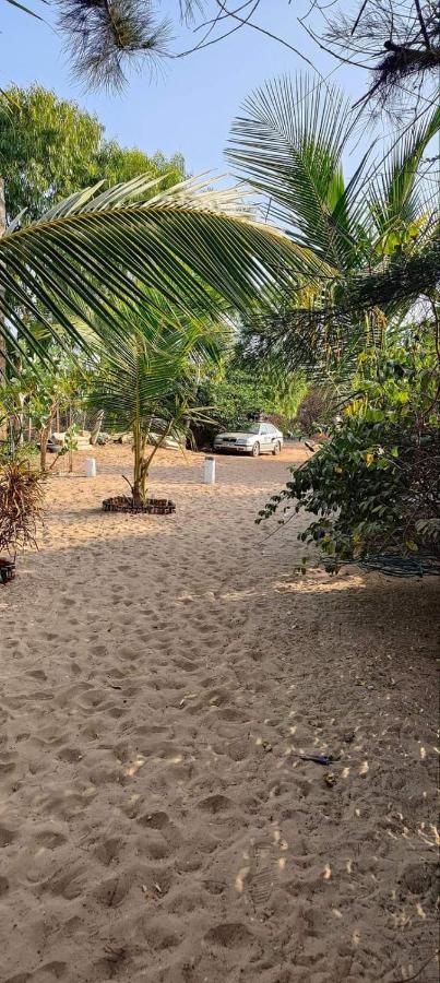 Sanyang Kinkiliba Beach Lodge מראה חיצוני תמונה